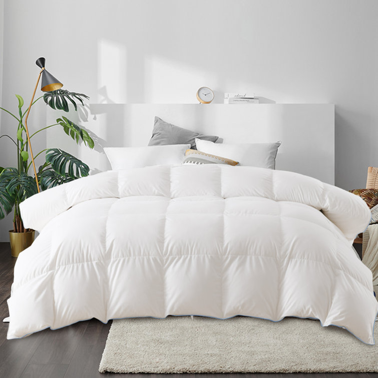 Heavyweight Down Comforter Winter Warmth Feather Down Duvet Insert 850 Fill Power Hotel Collection